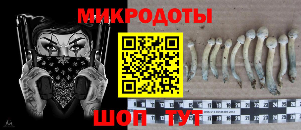 Галлюциногенные грибы Cubensis Северобайкальск