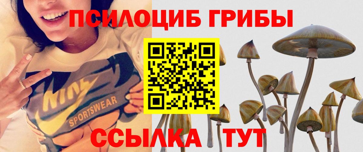 Галлюциногенные грибы Psilocybe  Вход с VPN  Галлюциногенные грибы мицелий  купить наркотики сайты  Северобайкальск 